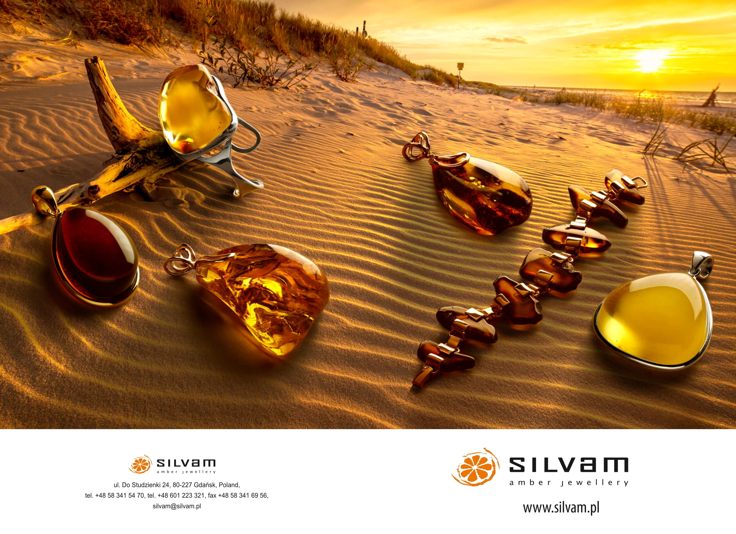 Logo SILVAM-EX - AMBERIF
