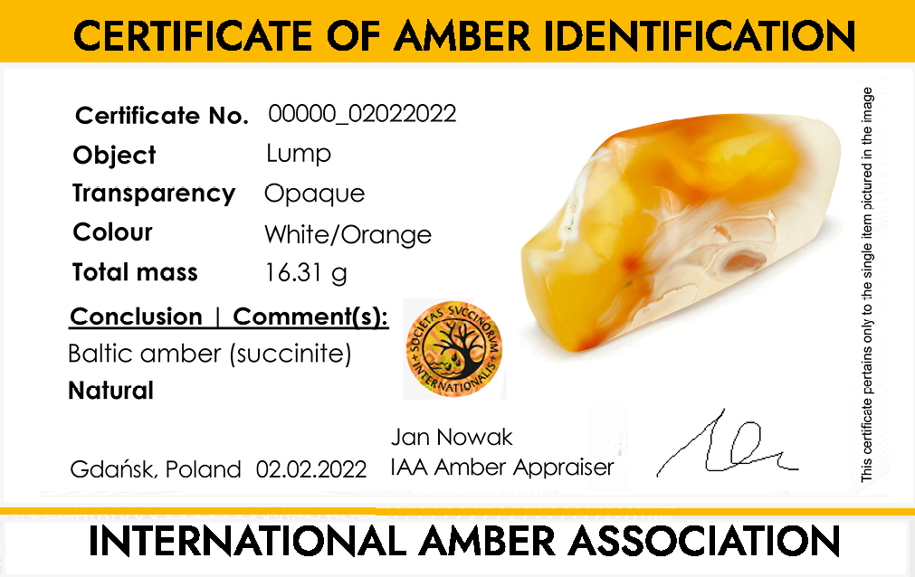 Logo of the INTERNATIONAL AMBER ASSOCIATION - AMBERIF